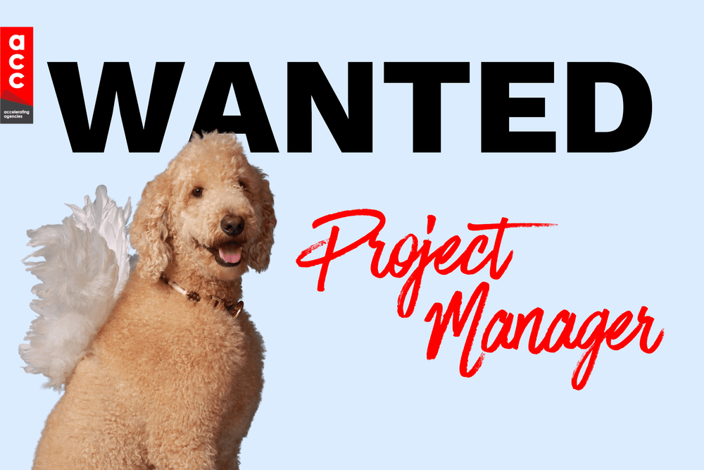 Vacancy Project Manager Vacancy Project Manager